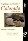 Image for Amphibians and Reptiles in Colorado
