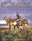 Image for Pronghorn  : ecology and management