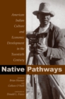Image for Native Pathways: American Indian Culture &amp; Economic Development in the Twentieth Century