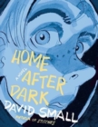 Image for Home after dark  : a novel