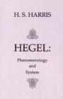 Image for Phenomenology and System