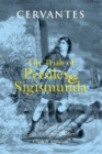 Image for Trials of Persiles &amp; Sigismunda  : a northern story