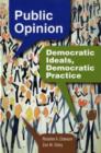 Image for Public Opinion: Democratic Ideals, Democratic Practice