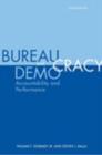 Image for Bureaucracy and Democracy