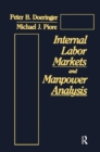 Image for Internal Labor Markets and Manpower Analysis