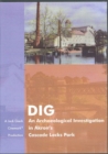 Image for DIG : An Archaeological Investigation in Akron&#39;s Cascade Locks Park