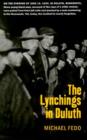 Image for The Lynchings in Duluth