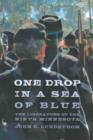 Image for One drop in a sea of blue  : the liberators of the Ninth Minnesota