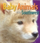 Image for Baby Animals of the Southwest