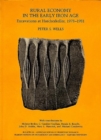 Image for Rural Economy in the Early Iron Age : Excavations at Hascherkeller, 1978–1981