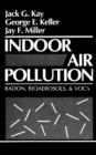 Image for Indoor Air Pollution : Radon, Bioaerosols, and VOCs