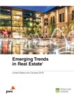 Image for Emerging Trends in Real Estate 2019 : United States and Canada