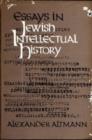 Image for Essays in Jewish Intellectual History