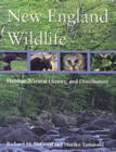 Image for New England Wildlife
