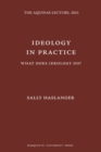 Image for Ideology in Practice : What Does Ideology Do?