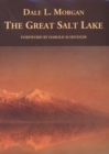 Image for The Great Salt Lake