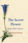Image for Secret Flower: and other stories