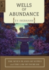 Image for WELLS OF ABUNDANCE: The Seven Planes of Supply and The Law of Increase