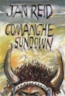 Image for Comanche sundown: a novel