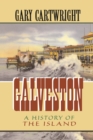 Image for Galveston: a history of the island