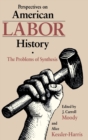 Image for Perspectives on American Labour History