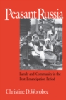 Image for Peasant Russia : Family and Community in the Post-Emancipation Period