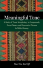 Image for Meaningful Tone