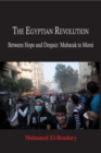 Image for Egypian Revolution