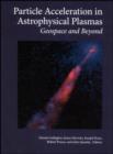 Image for Particle Acceleration in Astrophysical Plasmas : Geospace and Beyond