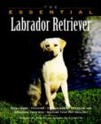 Image for The Essential Labrador Retriever