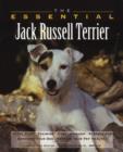 Image for The essential Jack Russell terrier