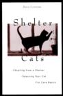 Image for Shelter Cats