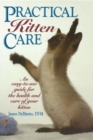 Image for Practical Kitten Care