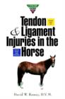 Image for Concise Guide To Tendon and Ligament Injuries in the Horse