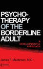 Image for Psychotherapy Of The Borderline Adult