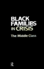Image for Black Families In Crisis