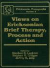 Image for Views On Ericksonian Brief Therapy