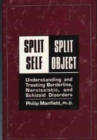 Image for Split Self/Split Object