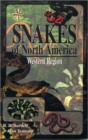 Image for Snakes of North America : Western Region