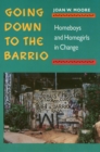 Image for Going Down To The Barrio : Homeboys and Homegirls in Change
