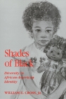 Image for Shades of Black : Diversity in African American Identity