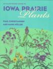Image for An Illustrated Guide to Iowa Prairie Plants
