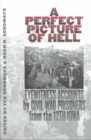Image for A Perfect Picture of Hell : Eyewitness Accounts by Civil War Prisoners from the 12th Iowa