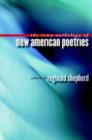 Image for The Iowa Anthology of New American Poetries