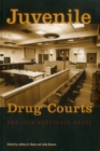 Image for Juvenile Drug Courts and Teen Substance Abuse