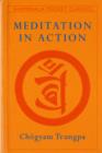 Image for Meditation in Action