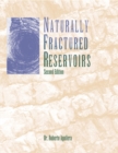 Image for Naturally Fractured Reservoirs