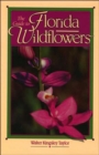 Image for The Guide to Florida Wildflowers