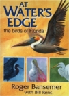 Image for At Water&#39;s Edge : The Birds of Florida