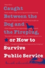 Image for Caught Between the Dog and the Fireplug, or How to Survive Public Service